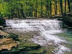 Salt Springs State Park is a Pennsylvania state park in Franklin Township, Susquehanna County, Pennsylvania, in the United States. The park is home to some massive hemlock trees that are over 500 years old and are some of the largest trees in all of Pennsylvania. The park also features a gorge with three waterfalls on Fall Brook. Salt Springs State Park is 7 miles (11 km) north of Montrose, just off Pennsylvania Route 29. The park is the only state park in Pennsylvania that is managed by a non-p