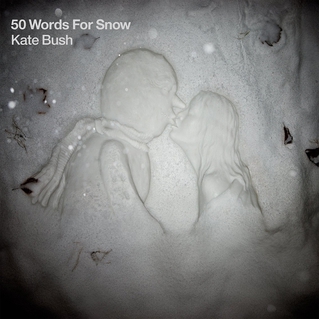 50 Words for Snow