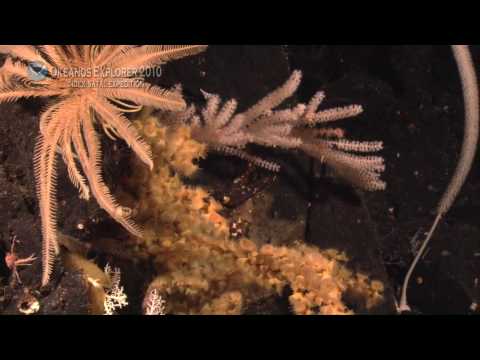 NOAA Ship Okeanos Explorer Extraordinary 