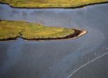 gulf_oil_stained_wetlands_bay_jimmy.jpg