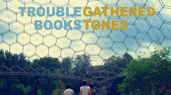 trouble_books_gathered_tones