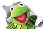 Kermit the frog