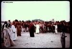 Al Jahra camel market, 1961