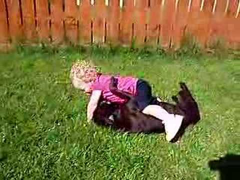 baby playing with Staffordshire Bull Terrier