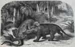 Édouard Riou's famous depiction of Iguanodon battling Megalosaurus has the distinction of being the first dinosaur to appear in any popular media. Charles Dickens' novel Bleak House begins with a description of muddy streets, whose primordial character is emphasized by mention of Megalosaurus: Implacable November weather.