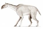 Macraucheniidae is a family in the Litopterna order of extinct South American ungulates. The recessed nasal bones of their skulls suggest that they may have had a small proboscis, or trunk.