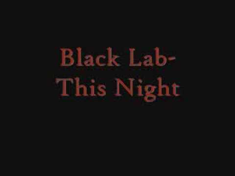 Black Lab-This Night