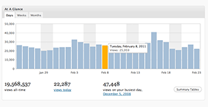 WordPress.com Stats