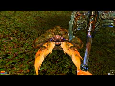 xXTeamMoragBongXx Morrowind Rollout Frag Vid (120 FPS) NO ARMOR