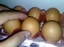 Eggs