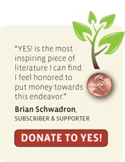 Donate to YES!