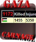 Gaza Carnage Counter