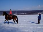 Equestrian skijoring consists of a team of a single horse, generally guided by a rider, pulling the person on skis who carries no poles and simply hangs onto a tow rope in a manner akin to water skiing.