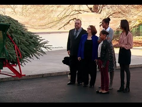 The First Lady Receives the 2011 White House Christmas Tree