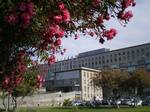 Hospital of Santa Maria, Lisbon.