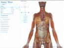 Visible Body: 3D Human Anatomy