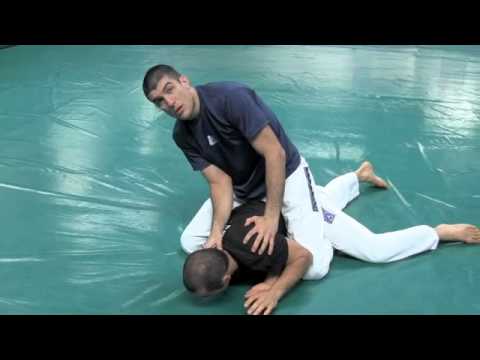 UFC 142: Aldo, Palhares, Belfort (Gracie Breakdown)