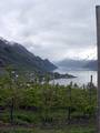 Hardanger is one of Norway's most important sources of fruit and constitutes approximately 40% of the national fruit production, including apple, plum, pear, wild cherry and redcurrant.