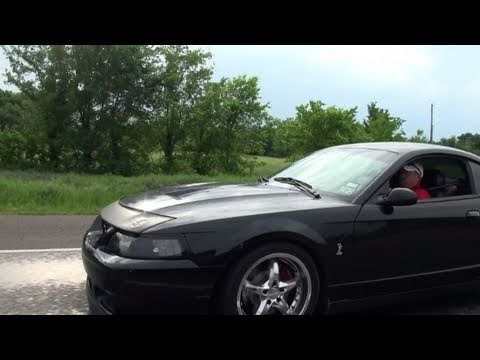 SUPERCHARGED LINGENFELTER G8 vs. 2003 COBRA TERMINATOR!