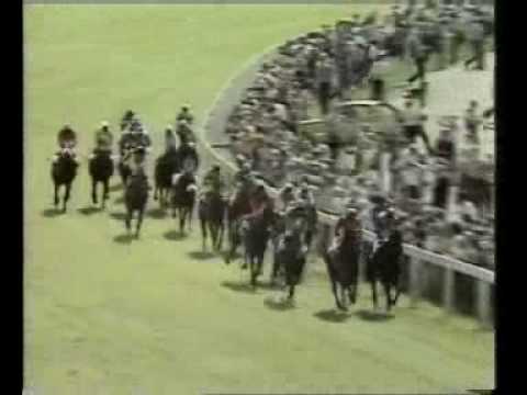 SHERGAR 1981 DERBY EPSOM HORSE RACING