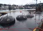 CORDOVA, Alaska - Global Diving and Salvage, monitored by the Coast Guard, used four five-ton pontoons in addition to two 22-ton pontoons and 26 nine-ton lift bags to refloat the Sound Developer in Cordova harbor after it spent three years underwater Dec. 2, 2011. The vessel has been emitting an oil sheen since it sank and no owner has been identified prompting the Coast Guard, City of Cordova and Alaska Department of Conservation to work together to remove the threat from the harbor and have th