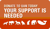 United Animal Nations - Donations Page