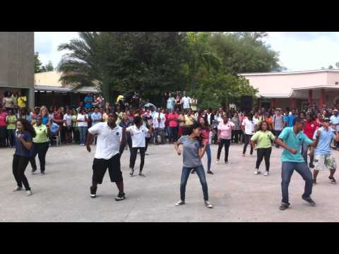 Peter Stuyvesant College (PSC) Flash-mob! (Curacao Baby!)