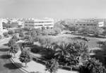 Dizengoff Square in the 1940s. The concept for a new garden city, to be called Tel Aviv, was developed on the sand dunes outside Jaffa in 1909.