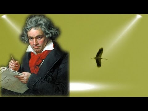 Ludwig van Beethoven - 5th Symphony 5 - Symphonie Nr. 5 / Best of Classical Music Period Playlist