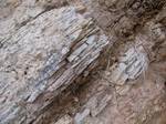 Outcrop of Monterey Formation, Gaviota State Park, California. The Monterey Formation is an extensive Miocene oil-rich geological sedimentary formation in California, with massive outcroppings of the formation in areas of the California Coast Ranges, Peninsular Ranges, and on some of California's off-shore islands.