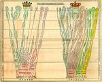 Fold-out paleontological chart of Edward Hitchcock in 'Elementary Geology' (1840)