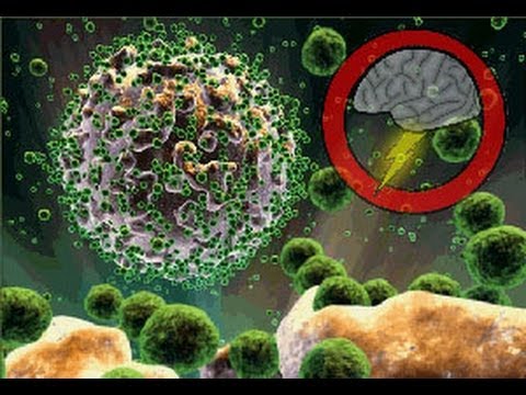 HIV Vaccine to Enter Phase 1 Human Trials (Brainstorm Ep36)