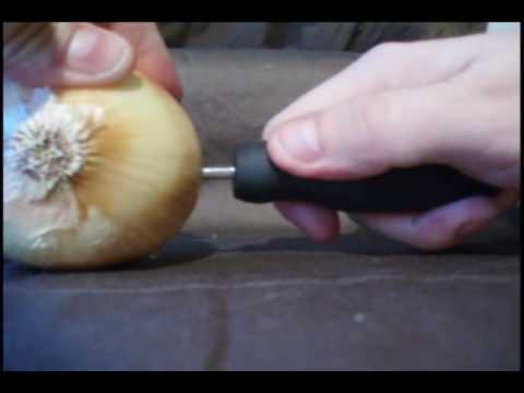 How to Charge an iPod using electrolytes and an onion