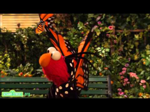 Sesame Street: Song: Little Butterfly Friend