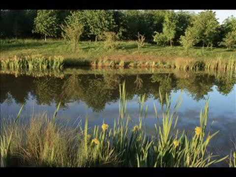 Pink Floyd Grantchester Meadows - Extended Edition