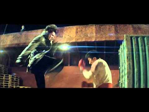 Donnie Yen and Wu Jing fights