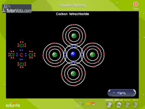 Covalent Bonding