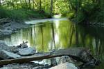 The Möhne near Warstein-Mülheim is a small-size river in western Germany (North Rhine-Westphalia), right tributary of the Ruhr. The Möhne passes the towns of Brilon, Rüthen, Warstein.