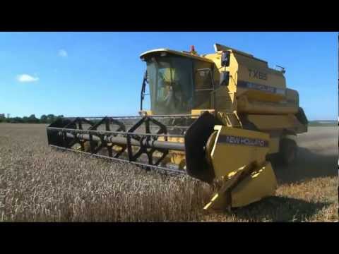 HARVESTING WHEAT - from ' bee bright - OUT AND ABOUT ON THE FARM - INCREDIBLE CROPS!'