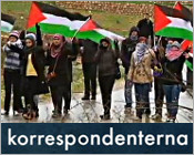 SVT Korrespondenterna i Nabi Saleh