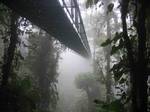 One of the hanging bridges of the Sky walk in Santa Elena, Costa Rica disappearing into the clouds. Dependent on local climate, which is affected by the distance to the sea, the exposition and the latitude, the altitude varies from 500 m to 4000 m above sea level.