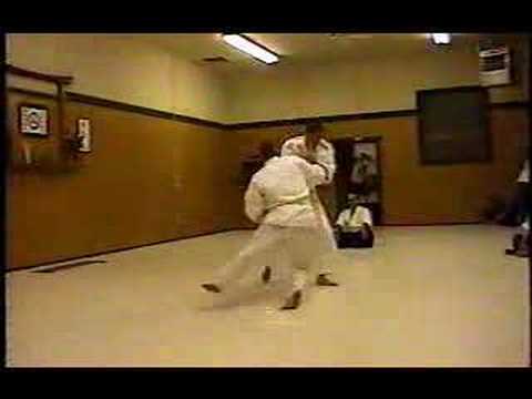 Aikikai Aikido Shodan