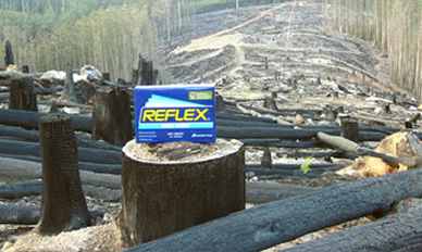 A ream of Reflex paper sitting on a stump in a clearfelled coupe.