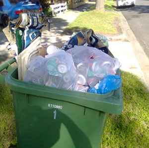 Green bin full of beer cans