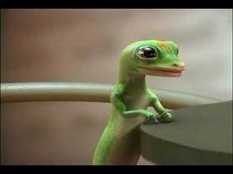 The Geico Gecko