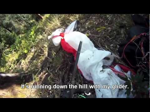 Paraglider vs vulture (english subtitles)