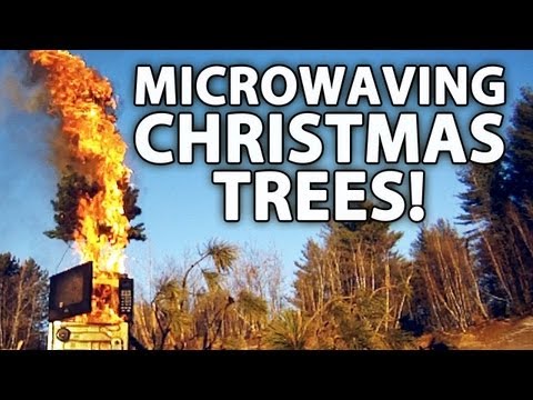 Microwaving Christmas Trees... With Gasoline!