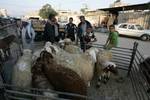 A Palestinian vendor shows his livestock to buyers at market Rafah, southern Gaza Strip, on November 03, 2011 ahead of the Muslim Eid al-Adha festival at the end of the week. Muslims across the world are preparing to celebrate the annual 