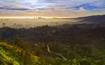 Early morning fog within a coastal marine layer in Los Angeles