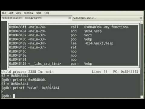 C Programming, Disassembly, Debugging, Linux, GDB